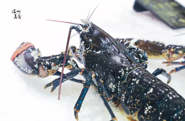 帝王蟹1499元,帝王蟹1299元