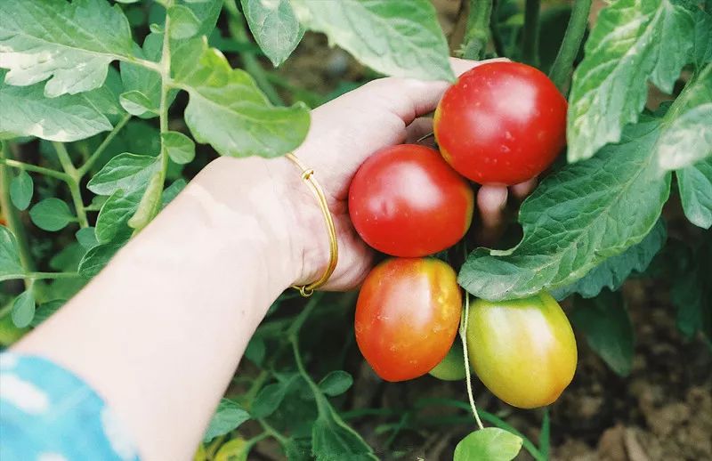 她不上班也不靠脸吃饭，住2层小楼，过上了别人做梦都要的日子！