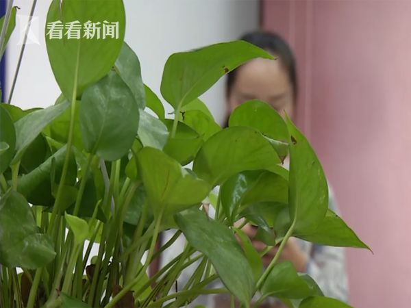 这款“*眠药安**”竟是新型*品毒**女子盲目代购成“毒贩”