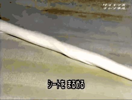 鱼丸是鱼蛋么,鱼丸里面为什么没有鱼