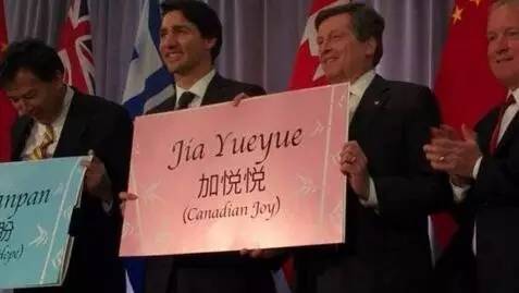 老外多爱猫咪,老外多爱中国