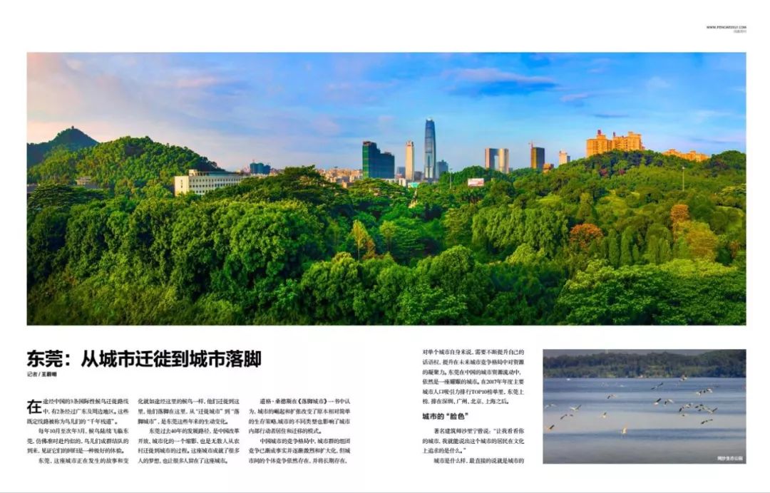 3个跨版深度解读！《凤凰周刊》再度聚焦“美丽东莞”！