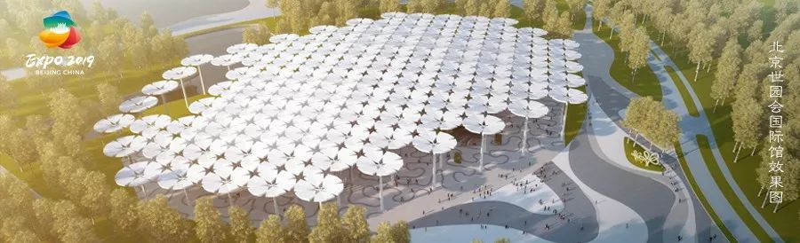 记忆里的那些花儿｜夜来香，我为你思量……