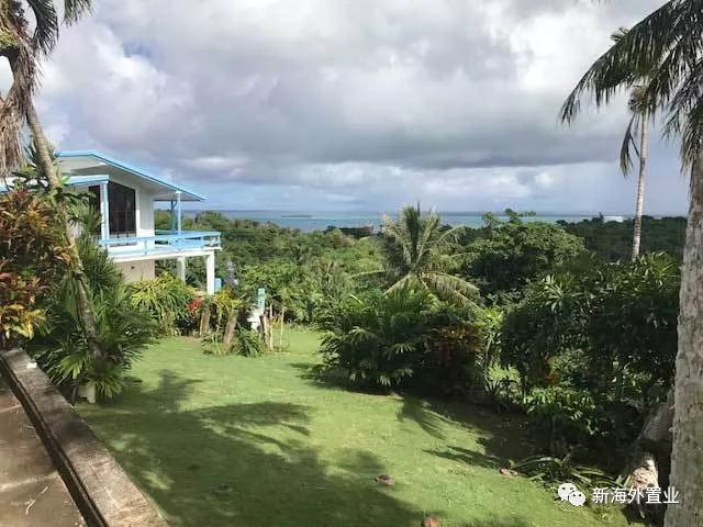 金立董事长被曝赌博输百亿,金立老板赌博到底输了多少