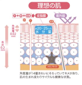 化妆水要不要用，怎么用？