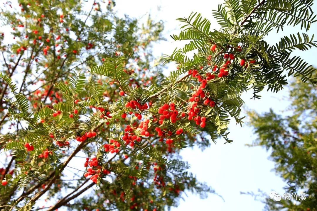 竹溪大石门，一个有故事的地方！