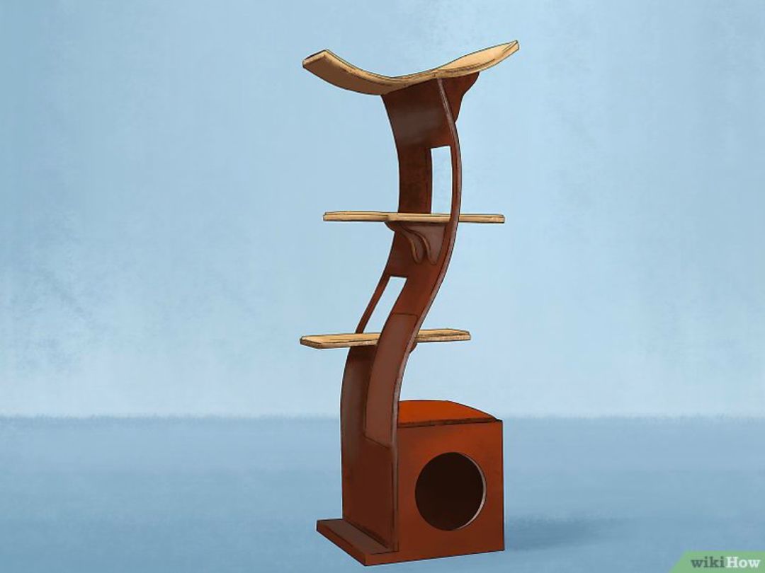 看猫咪如何对狗狗大打出手,猫狗大战猫咪