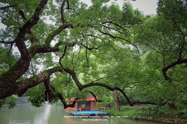 原生态风貌的西溪湿地公园