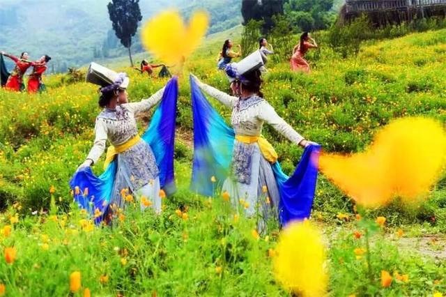 成都周边野花,成都周边花谷景区推荐