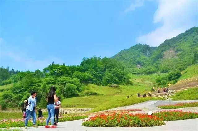 成都周边野花,成都周边花谷景区推荐