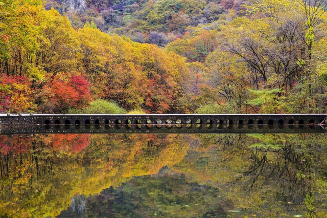 十一不能出去看风景,十一出去看世界