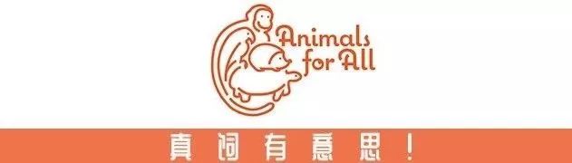 澳大利亚袋鼠手撕铁桶,袋鼠徒手捏爆铁桶