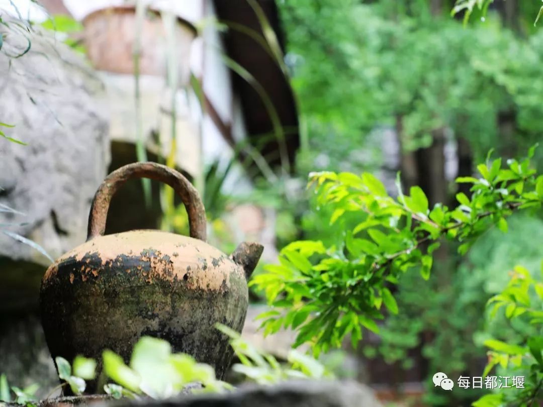 乡村旅游民宿的发展与创新,青城山下大型农家乐