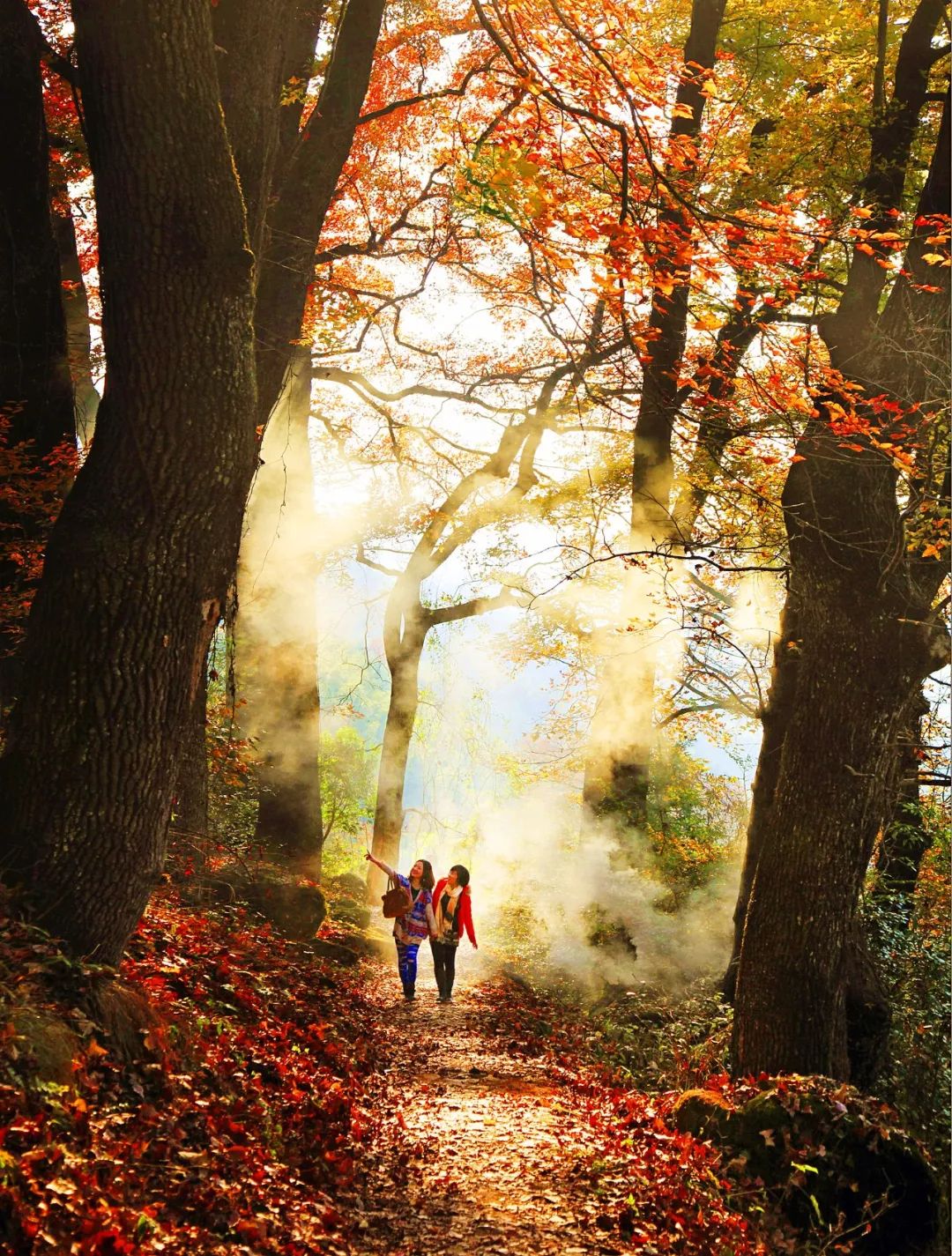 风景秀丽的浙南小城,富有魅力的浙南小城
