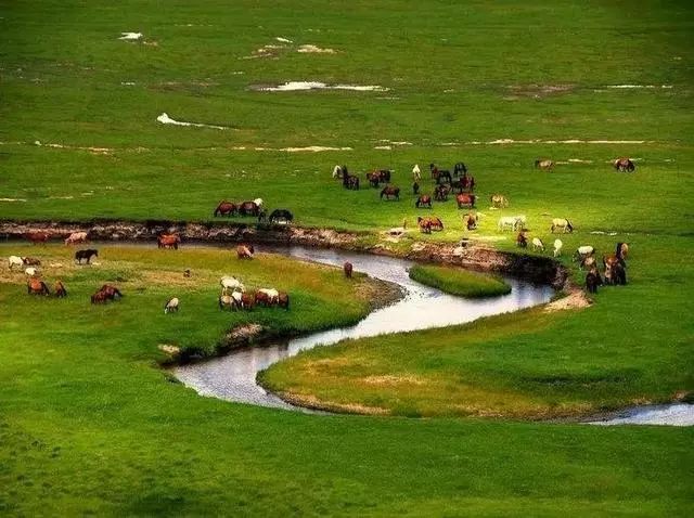 内蒙古自治区车牌顺序,内蒙古的车牌号是怎么分的