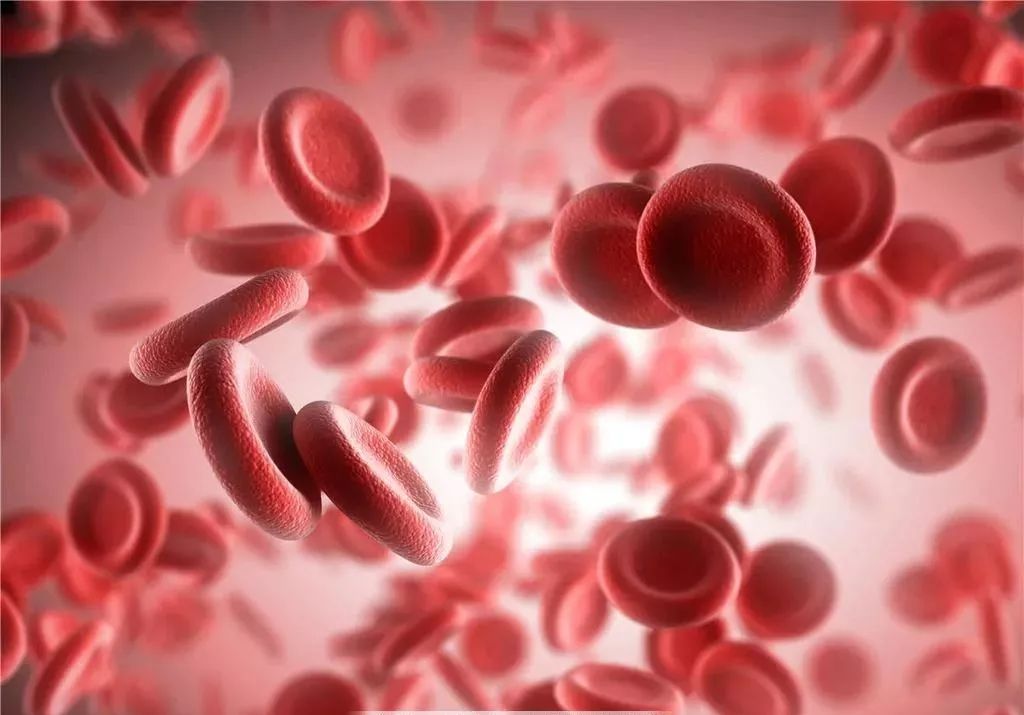 预防艾滋病知识讲座报道,这些防控知识你记住了吗