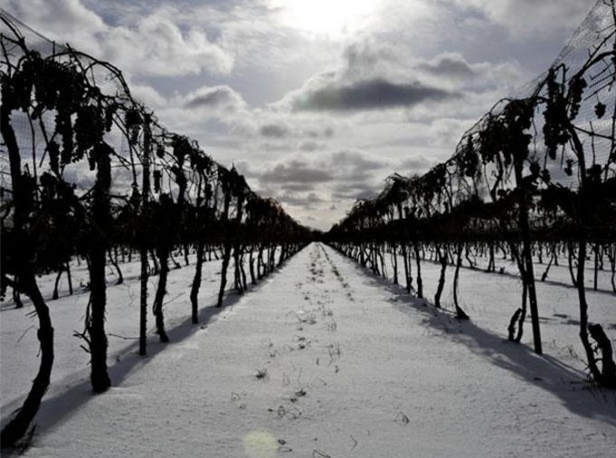 「周一八点档」奉上满分酒庄嘉伯乐极致款,更有鹅司“大牌”钥匙链超值折扣
