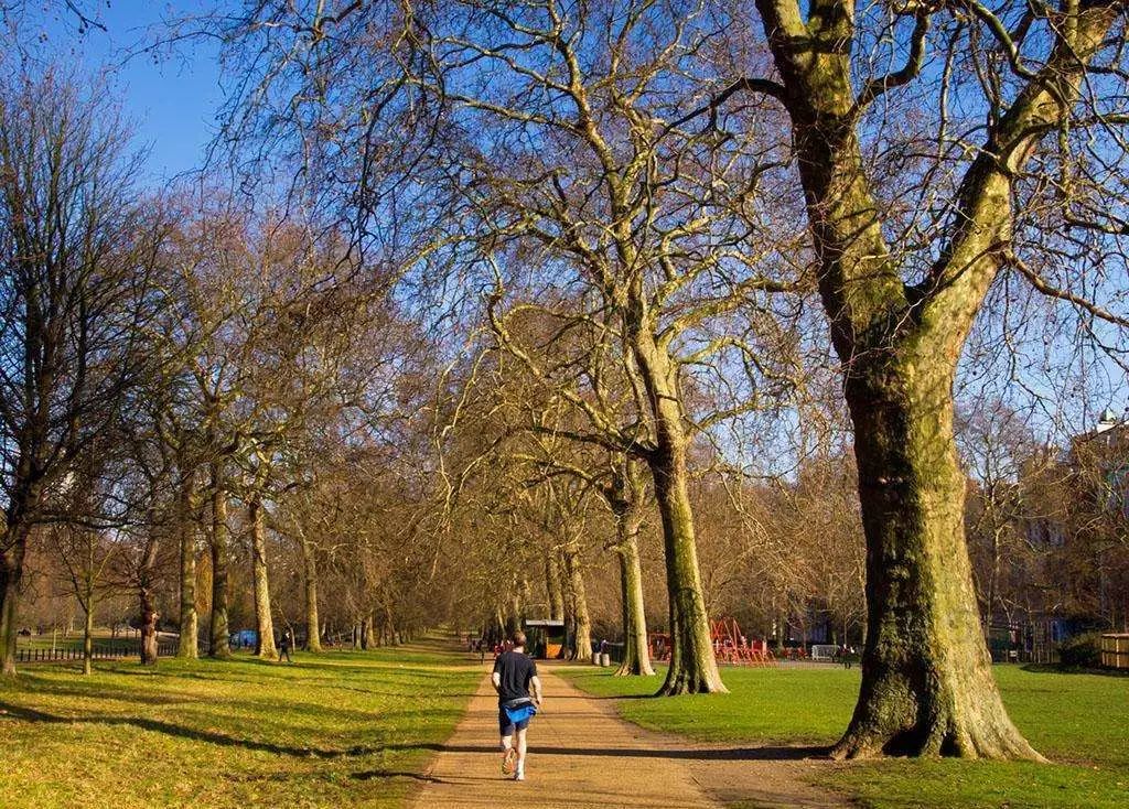 「法在身边」校外人员在大学操场跑步被撞伤,学校该负责吗?