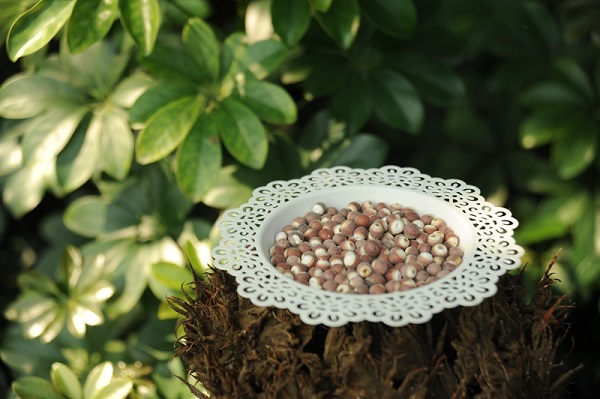 秋天芡实养生,秋季芡实怎样煮粥