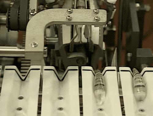 去虾头、开虾背、撕虾壳，剥虾仁的流水线长这样