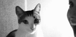 为啥晨起嘴巴臭臭的，自己却闻不到？5个妙招，让你口气清新