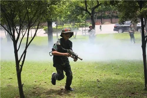 东莞报业夏令营,东莞雏鹰少年夏令营多少钱