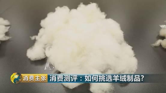 羊绒衫领发黄怎样清洗才正确,学会这一招清洗得干干净净