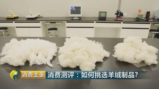 羊绒衫领发黄怎样清洗才正确,学会这一招清洗得干干净净