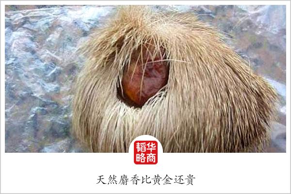 中国老品牌神药,同仁堂780元药丸