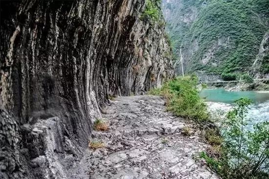 有了绿牌还能拥有大牌,有了绿牌再去拍蓝牌