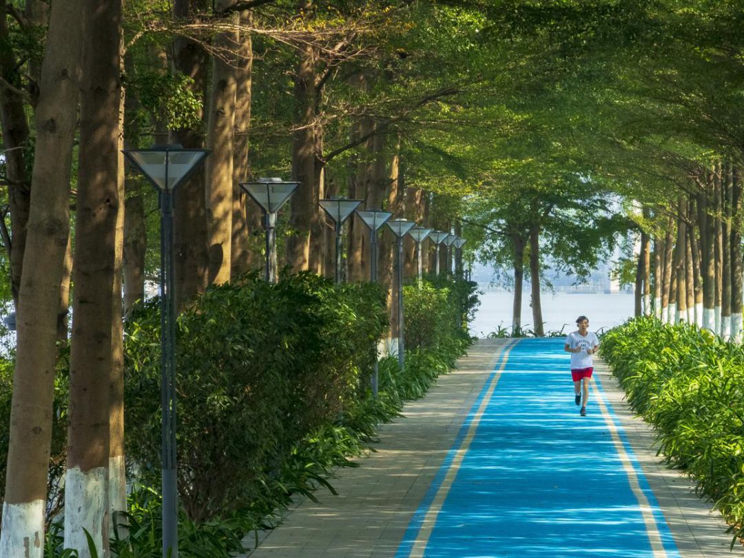 广州十大跑步圣地,告别肥宅展示你的锻炼成果