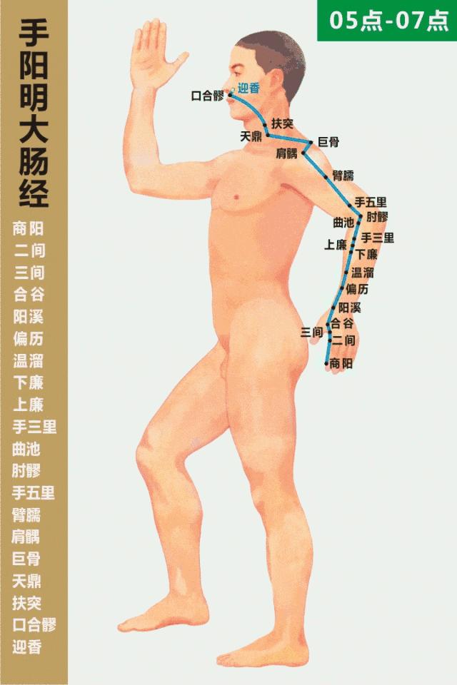 经络最全动图,经络高清穴位大图