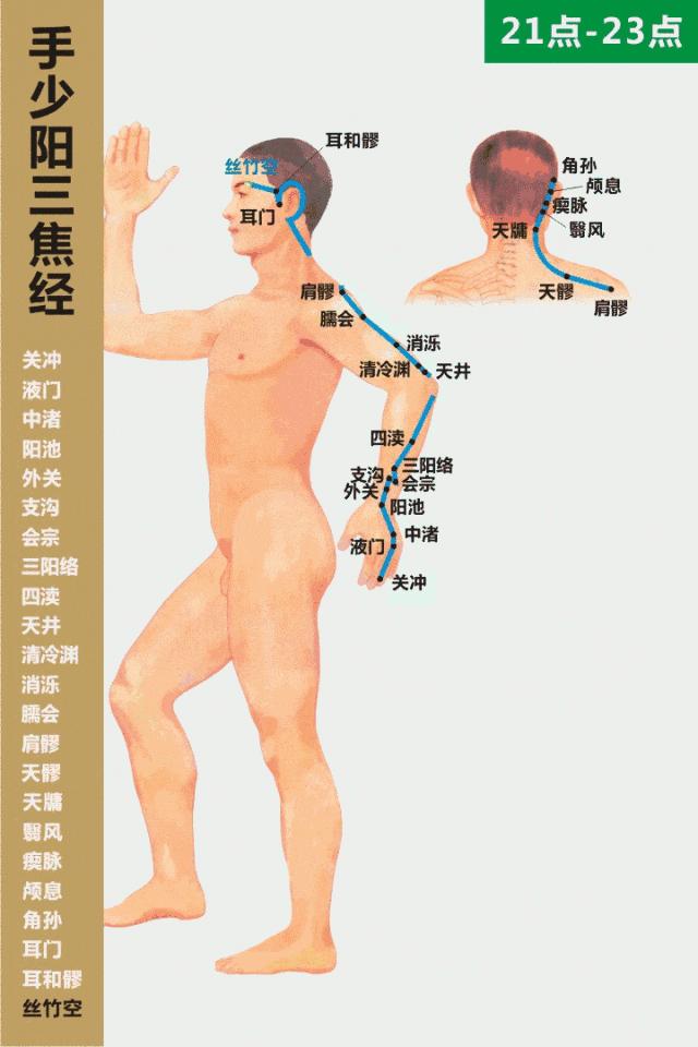 经络最全动图,经络高清穴位大图