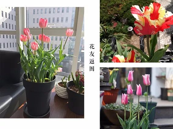 闲时赏花听歌静时看书喝茶,一处悠闲安静的好去处