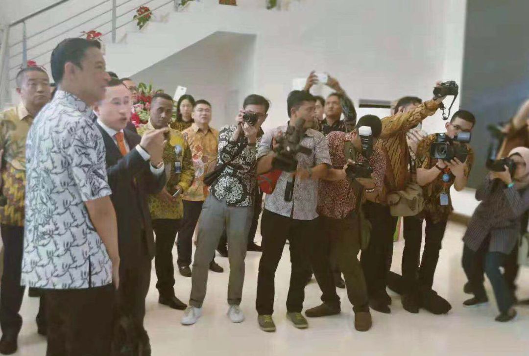 超市里都会有的牛奶有哪些,超市里都有哪些牛奶