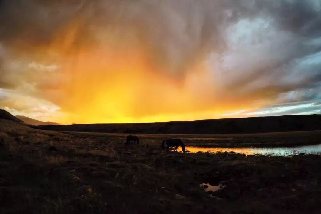 那个开着旅行咖啡车的女孩，暂别荒野重返都市