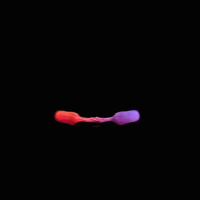 久等了,第一期《第一财经》杂志来啦!|YiMagazine参见