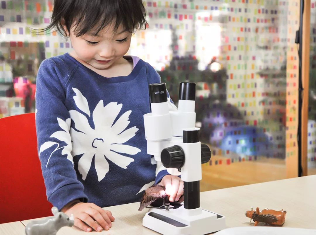 双12给宝宝囤的宝宝用品,双12什么东西适合宝宝囤