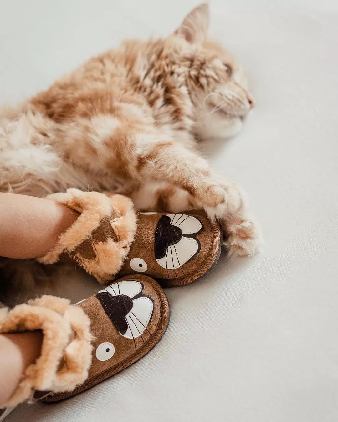 泷泽伸介,泷泽伸介ins