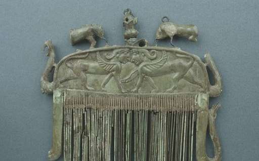 梳子的历史起源和发展,历史上梳子是什么