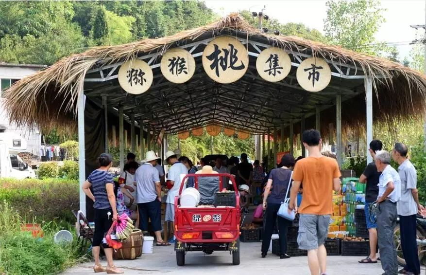 栉风沐雨四十载万里江山披锦绣——江山市改革开放四十年经济社会发展成就回眸