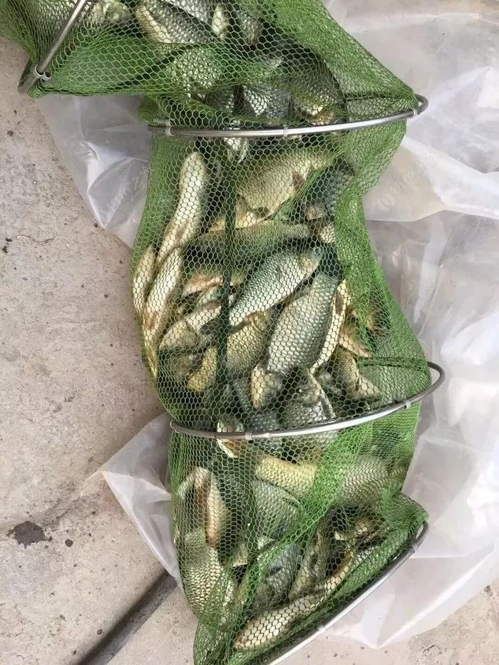 最简单的调漂方法黑坑,调漂最快最简单实用新手入门黑坑