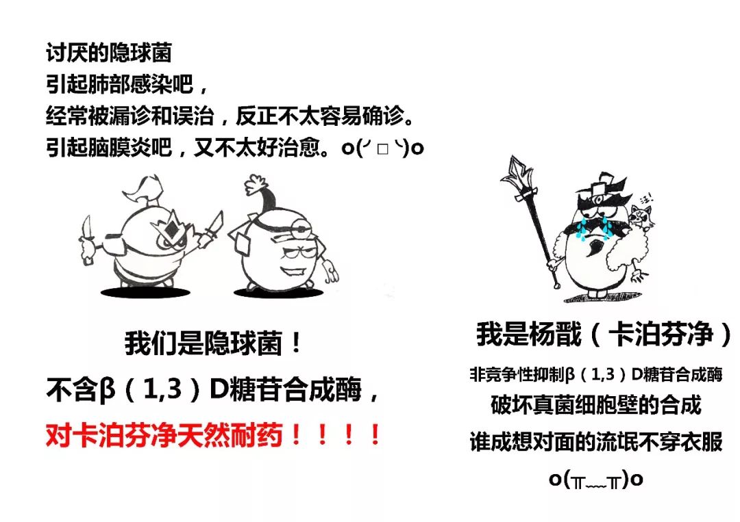 隐球菌病的封神榜,又实用又好玩!