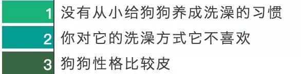 给狗狗洗澡你的方法真的正确吗,给狗狗洗澡的正确方式你学会了吗