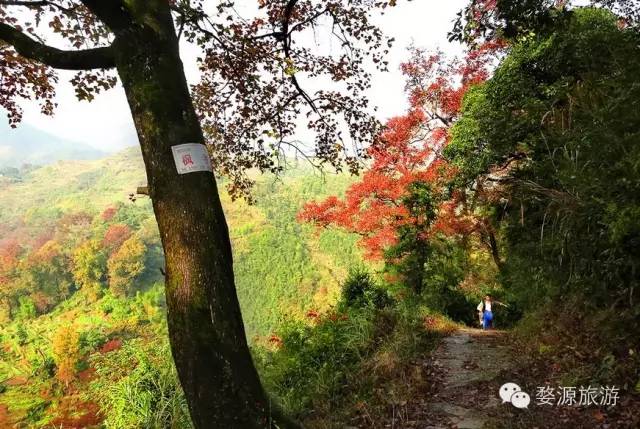 各类英雄好汉齐聚于此,各路英雄好汉齐聚完整版