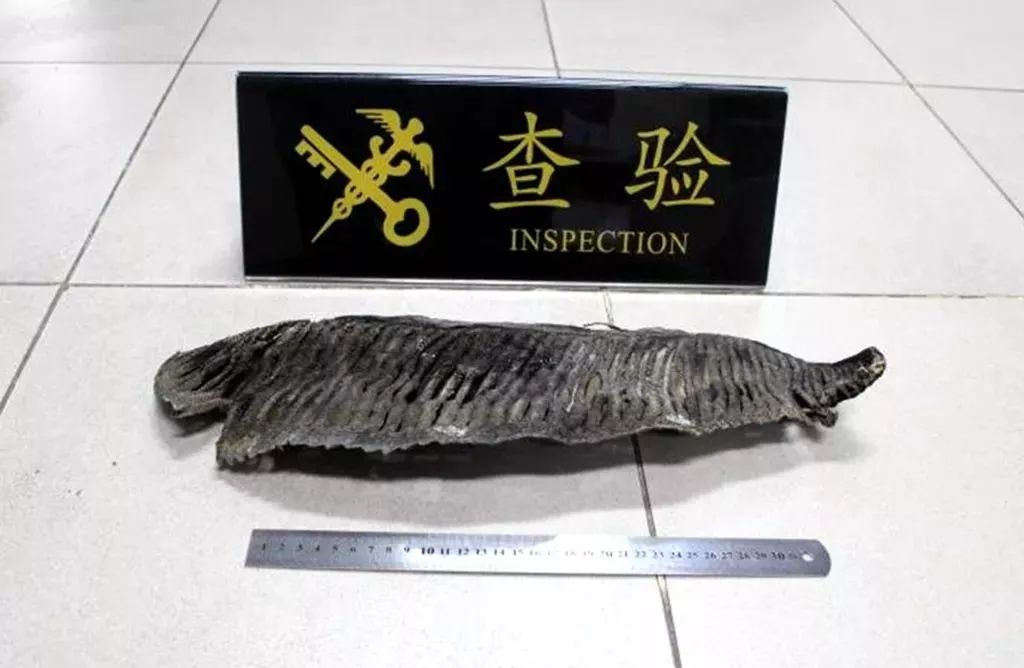 内地入境香港不能带的东西,去香港要注意带哪些东西