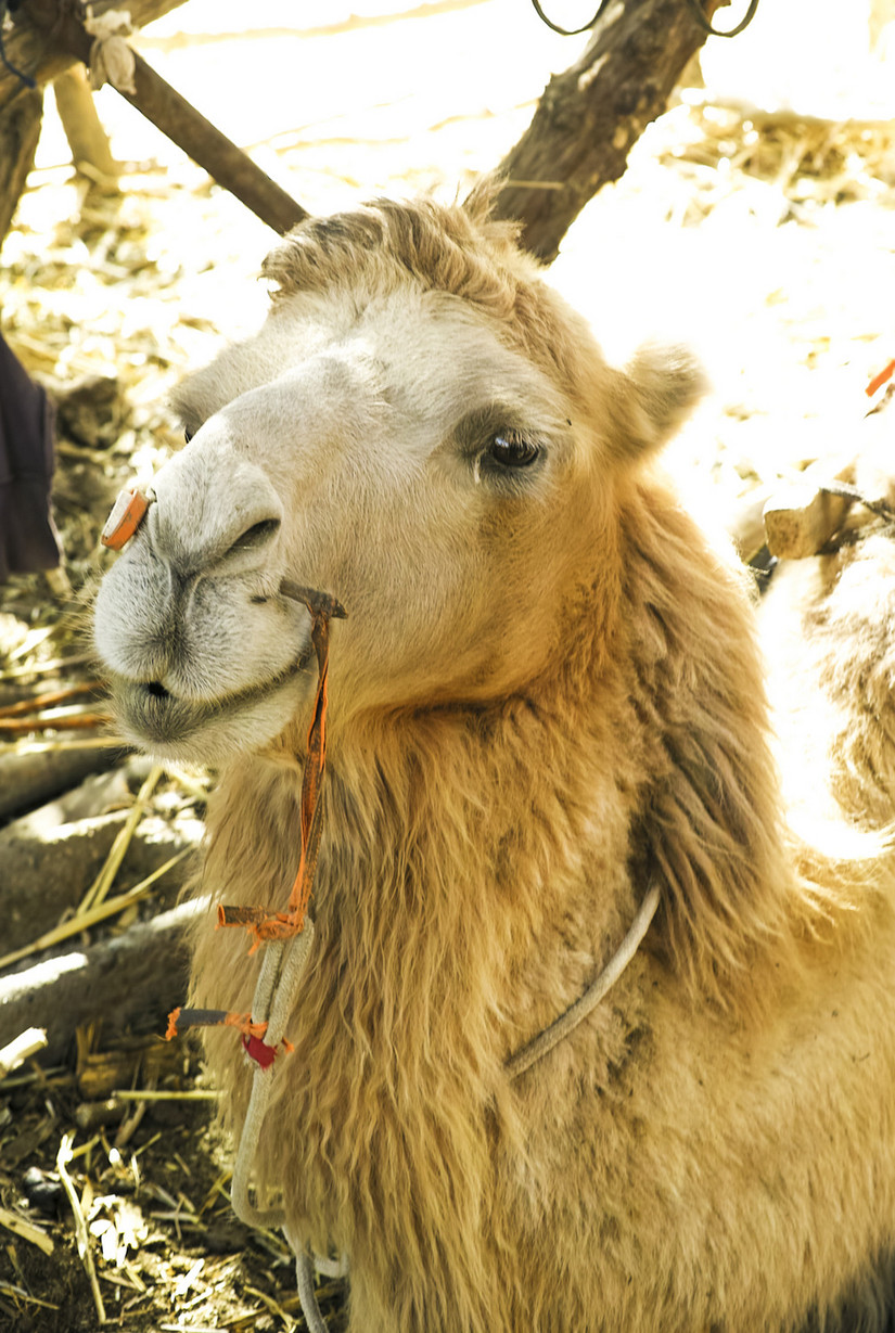 嘿！让我来说说我的旅途