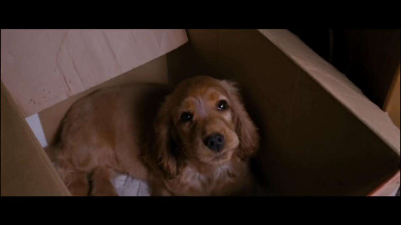 昱见视频,昱见说影视