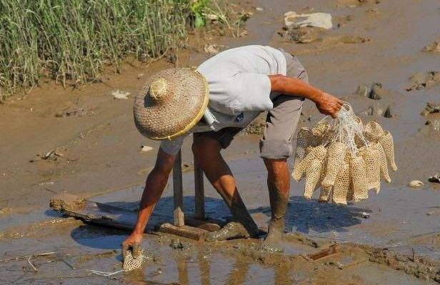 导游应该知道的一些故事,导游是怎么知道每个景点路线的