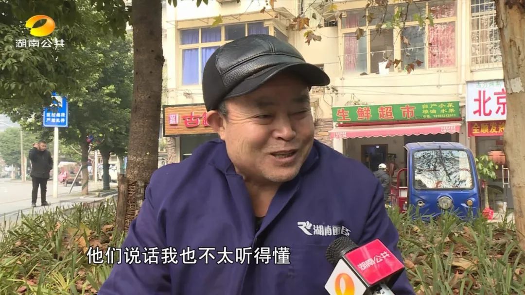 麻阳冰糖橙老人,怀化老人卖橙子